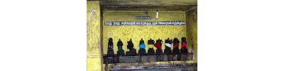 திருக்கொலிலி - ஆவணி விதங்கர் - பிருங்க நடனம்
